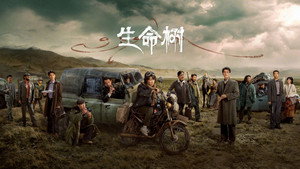 生命树 kép