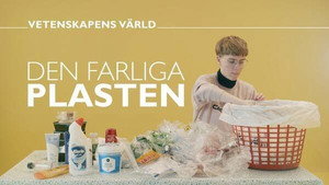 Vetenskapens värld 47. évad Ep.37 37. epizód