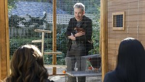 CSI: Las Vegas-i helyszínelők 3. évad Ep.6 6. epizód