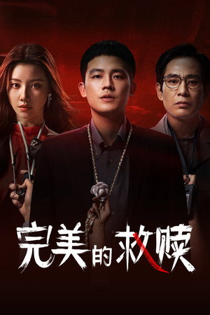 完美的救赎 poszter