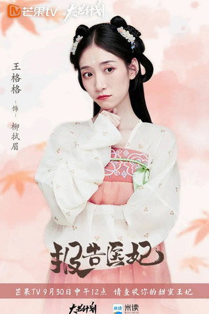报告医妃 poszter