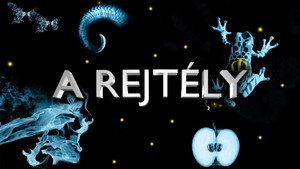 A rejtély kép