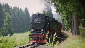Secrets of the Railways kép