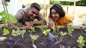 Garden Rescue 11. évad Ep.12 12. epizód