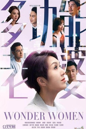 多功能老婆 poszter