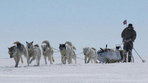 Blizzard: Race to the Pole kép