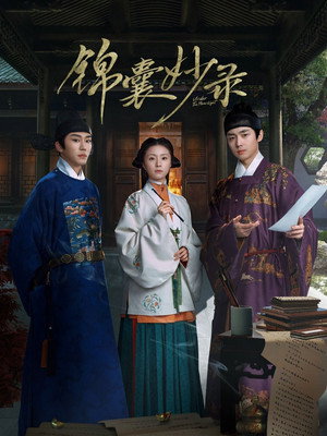 锦囊妙录 poszter