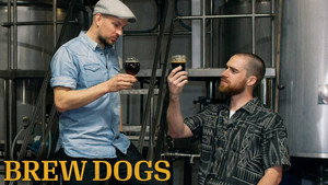 Brew Dogs kép