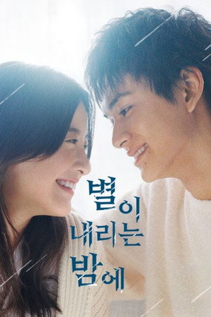 星降る夜に poszter