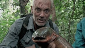 Folyami szörnyek 6. évad Ep.2 2. epizód