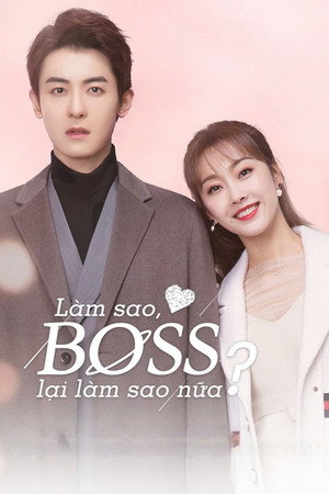 奈何BOSS又如何 poszter