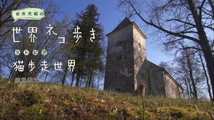 岩合光昭の世界ネコ歩き 1. évad Ep.39 39. epizód