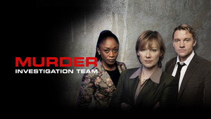 Murder Investigation Team kép
