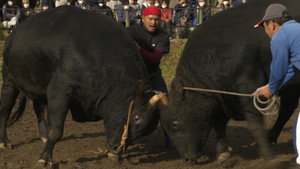 新日本風土記 11. évad Ep.2 2. epizód