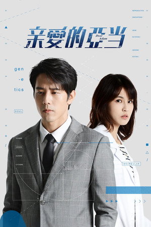 親愛的亞當 poszter
