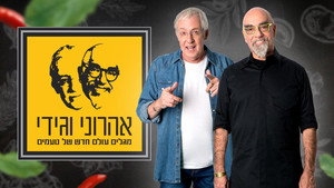 המסע המופלא של אהרוני וגידי kép