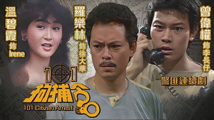101拘捕令 kép