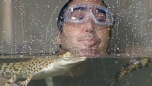 I'm a Celebrity...Get Me Out of Here! 6. évad Ep.2 2. epizód