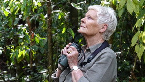 Judi Dench's Wild Borneo Adventure 1. évad Ep.1 1. epizód