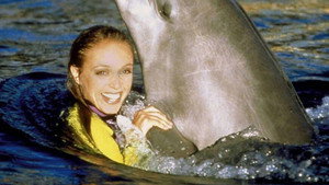 Flipper kép