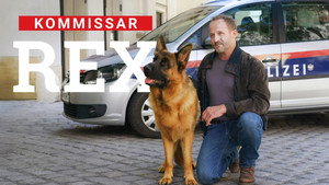 Rex - Vienna Calling kép