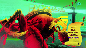 Million Dollar Extreme Presents: Extreme Peace kép