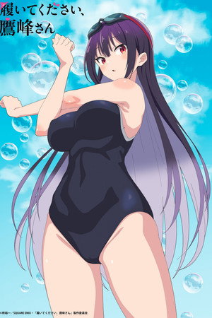 履いてください、鷹峰さん poszter