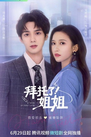拜托了！姐姐 poszter
