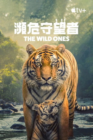 The Wild Ones poszter