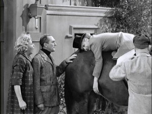 I Love Lucy 5. évad Ep.16 16. epizód