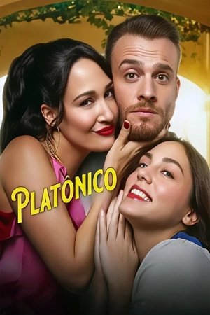 Platonik poszter