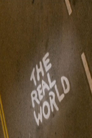 The Real World 20. évad (2008-04-16) poszter