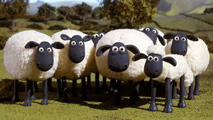 Shaun, a bárány 1. évad Ep.19 19. epizód