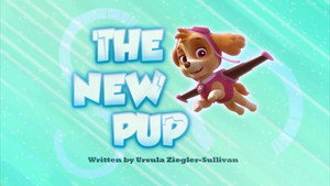 PAW Patrol 2. évad Ep.6 6. epizód