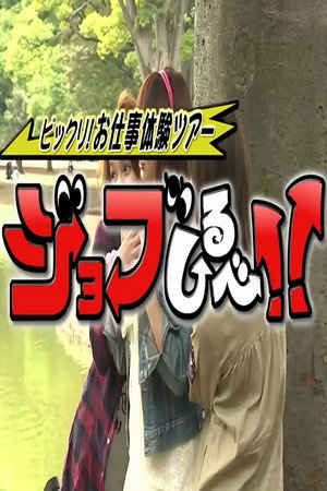 ねくすと；ビックリ！お仕事体験ツアー - ジョブしるべ！！ 2010. évad (2015-01-05) poszter
