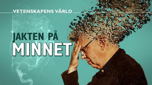 Vetenskapens värld 51. évad Ep.12 12. epizód