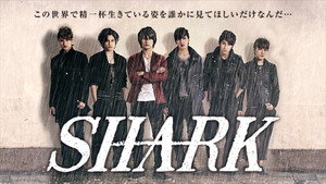SHARK 1. évad Ep.1 1. epizód