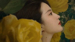 玫瑰的故事 kép