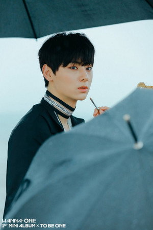 Wanna One GO poszter