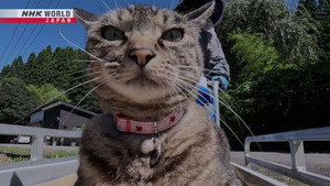 A Cat's-Eye View of Japan 4. évad Ep.8 8. epizód