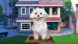 Barkitecture kép