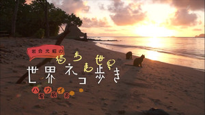 岩合光昭の世界ネコ歩き 1. évad Ep.17 17. epizód