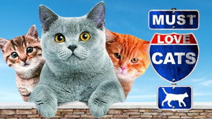 Animal Planet: Must Love Cats kép