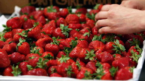The Mind of a Chef 4. évad Ep.12 12. epizód