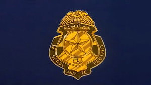 C.O.P.S. kép