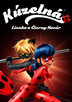 Miraculous Katicabogár és Fekete Macska kalandjai poszter