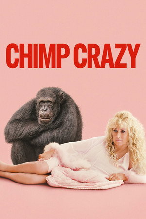 Csimpánzok Hollywoodban poszter