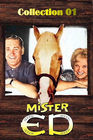 Mister Ed poszter