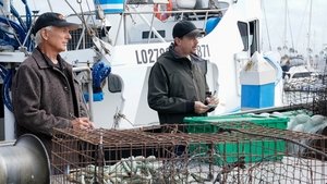 NCIS: Tengerészeti helyszínelők 19. évad Ep.4 A nagy természetben