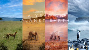 A Year on Planet Earth kép